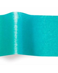 Papel De China Nacarado Gpo.E 1C. 50 X 76 Cm V.Colores